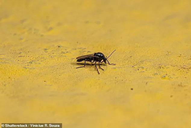 Emerging Viral Threats in 2026: A Call for Vigilance and Scientific Preparedness