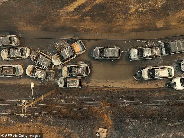 Chile wildfires: 18 killed, 50,000 evacuated as blazes consume 8,500 hectares in Nuñez and Bío Bío regions