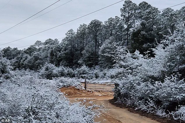 Unprecedented Winter Storm Disrupts 18 States, Including Unprepared Southern Regions