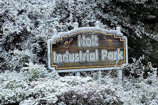 Unprecedented Winter Storm Disrupts 18 States, Including Unprepared Southern Regions