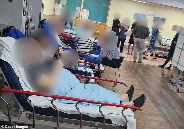 UK A&E Departments Overwhelmed: Public Health Experts Urge Immediate Government Action