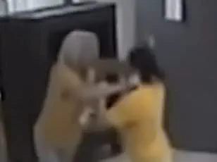 Exclusive Footage Reveals Heated Altercation Between State Senator and Councilwoman Amid Legal Battles