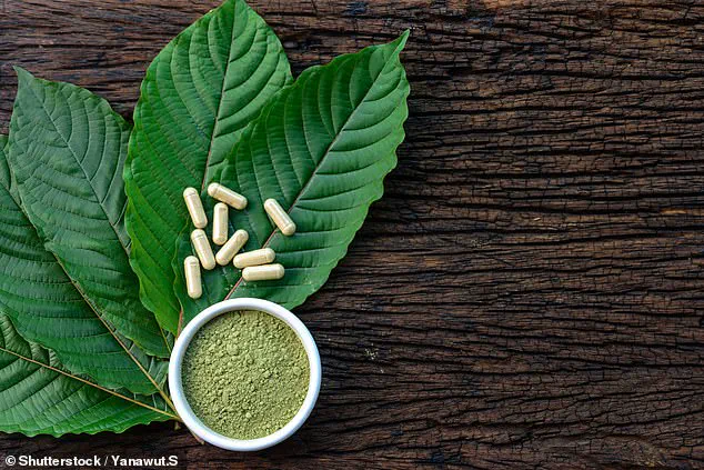 Shocking Revelations: Toxicology Report Uncovers Multiple Substances in Deceased Chess Grandmaster Daniel Naroditsky's System, Global Chess Community in Shock