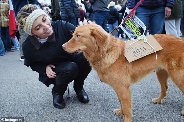 Late-Breaking Controversy: Abughazaleh's Last-Minute Absence from High-Profile Indivisible Event Sparks Debate in Illinois Primary Race