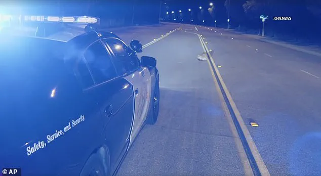 Los Angeles Mountain Lion Incident Sparks Discussion on Wildlife Safety and Human-Wildlife Conflict