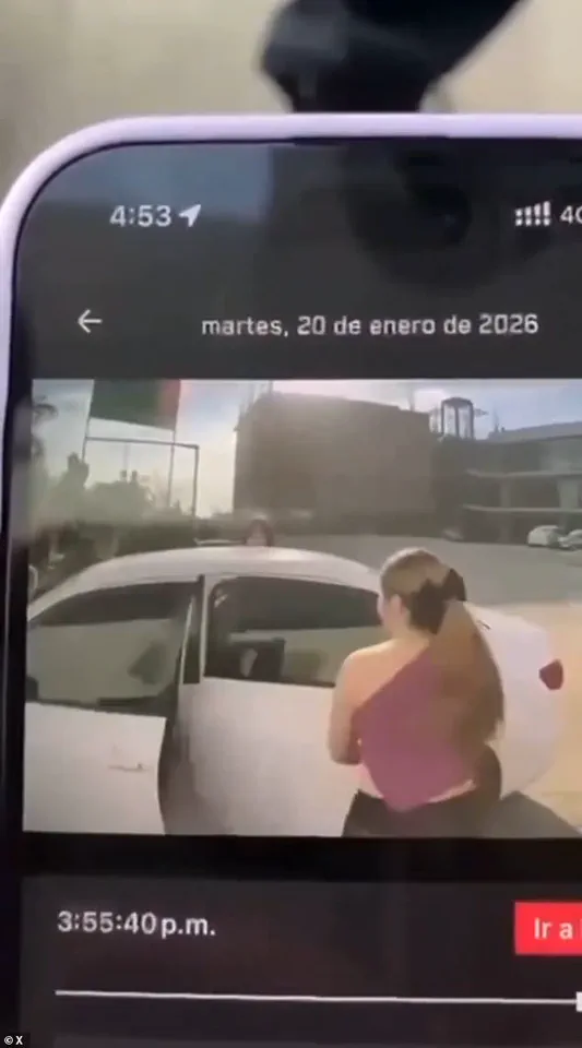 Arizona Influencer Nicole Pardo Molina Kidnapped in Sinaloa, Mexico: Viral Tesla Cybertruck Footage Shows Abduction