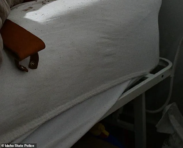 The Unraveling of Bryan Kohberger's Perfect Crime: A Forensic Analysis of the Moscow, Idaho, Case