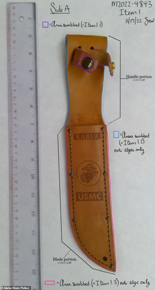 The Unraveling of Bryan Kohberger's Perfect Crime: A Forensic Analysis of the Moscow, Idaho, Case