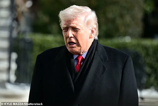 Potential Crisis Threatens Trump's Mass Deportation Effort Amid Leadership Shift and Backlash from Supporters