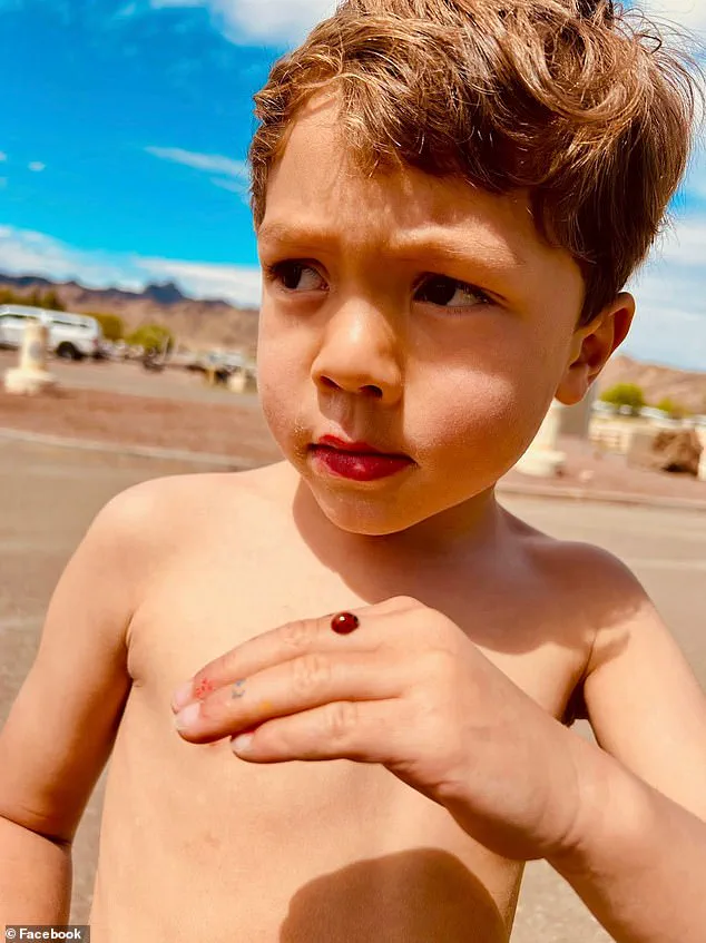 Prosecutors allege Tiffany Sanchez 'accelerated into' six-year-old in hit-and-run, leading to higher bail