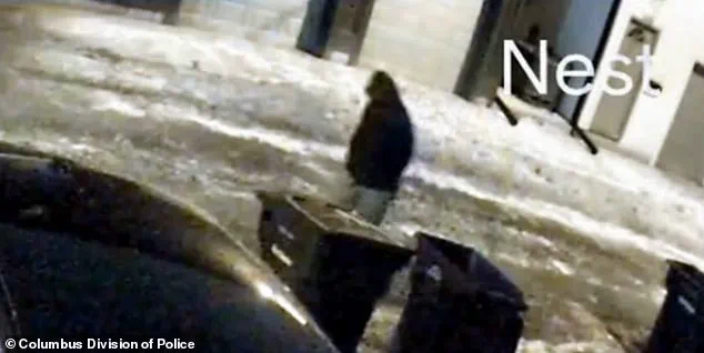 Surgeon Charged with Murder Faces New Stalking Allegations, Court Documents Reveal