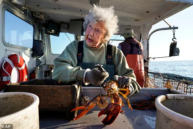 Virginia Oliver, Maine's 'Lobster Lady,' Dies at 105, Leaves Legacy as Pioneering Lobster Trapper and Maritime Heritage Icon