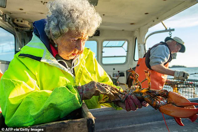 Virginia Oliver, Maine's 'Lobster Lady,' Dies at 105, Leaves Legacy as Pioneering Lobster Trapper and Maritime Heritage Icon