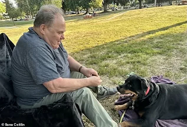 Sherman Oaks Hit-and-Run: 80-Year-Old Man and His Dog Killed by Fleeing Maserati Driver