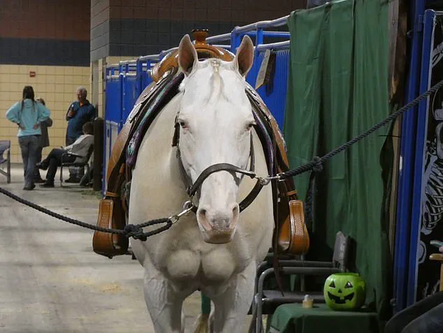 Exclusive: Inside the Alleged Ritualistic Sacrifice and Legal Battle Over Sealed Evidence in Maple Valley