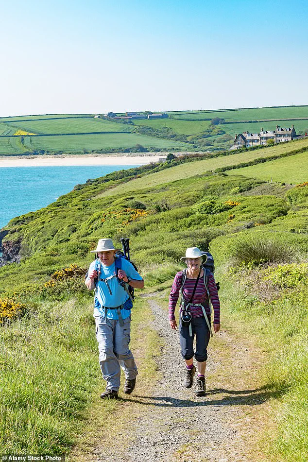 Expert Guidelines on Exercise: Balancing Fitness and Public Health