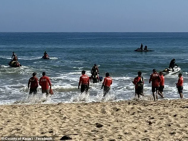 Discovery of Human Remains Ends Search for Missing Hawaii Teen, Pending DNA Confirmation