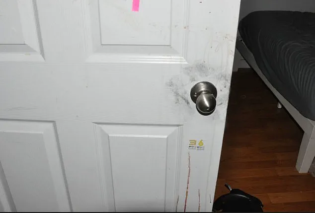 Idaho Murders: Crime Scene Photos Reveal Gruesome Details of November 13, 2022, Tragedy