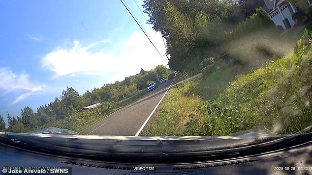 Nurse Gaila Palo Involved in Texting While Driving Crash After Dash Cam Video Exposes Violation of Washington Law