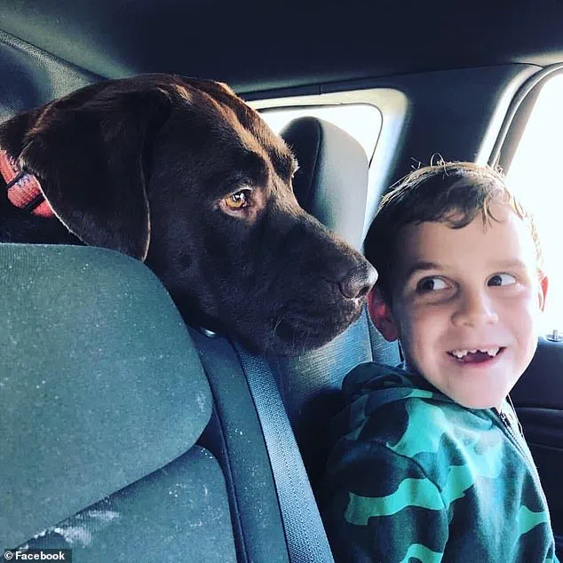 Perth in Shock: Quadruple Murder-Suicide Claims Family of Four, Including Autistic Teens and Pets in Mosman Park