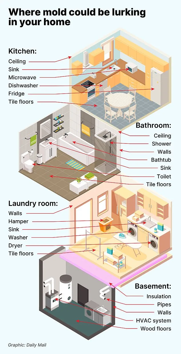 Three Years of Misdiagnosis: MRI Reveals Schayene Silva's Kidney Cancer