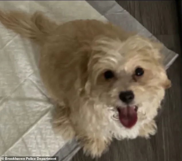 19-Year-Old Rapper Aspen Kartier Arrested for Alleged Animal Cruelty During Viral Twitch Stream