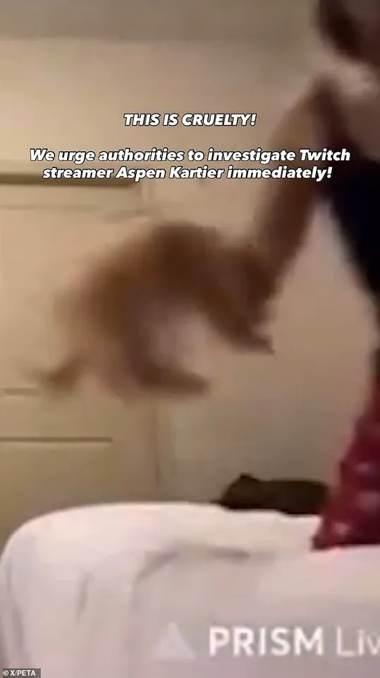 19-Year-Old Rapper Aspen Kartier Arrested for Alleged Animal Cruelty During Viral Twitch Stream