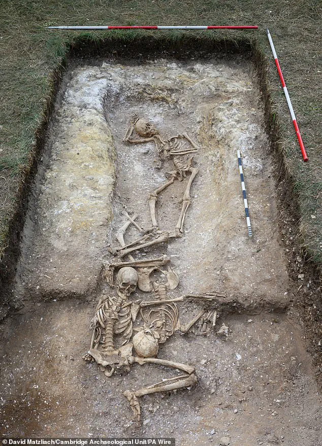 Cambridge Students Discover Viking Burial Pit with Violent Remains and a Mysterious Giant