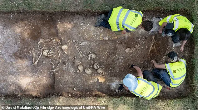 Cambridge Students Discover Viking Burial Pit with Violent Remains and a Mysterious Giant
