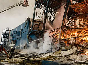 Frozen in Love: Ukrainian Couple's Tragic End as Drones Hunt Them Down