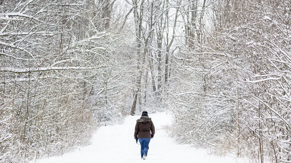Maryland Winter Tragedy Claims 28th Life as 44-Year-Old Woman Found Unresponsive on Icy Trail