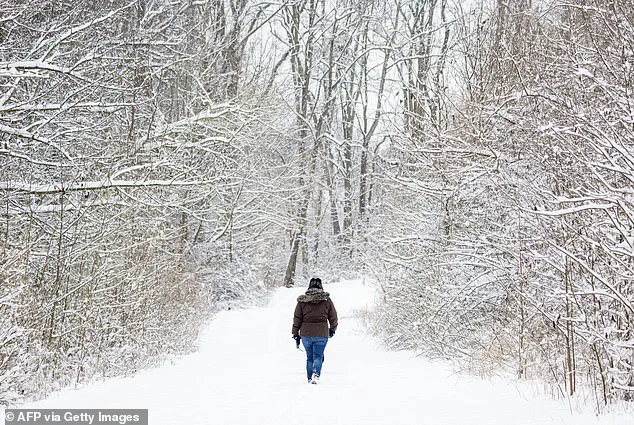 Maryland Winter Tragedy Claims 28th Life as 44-Year-Old Woman Found Unresponsive on Icy Trail