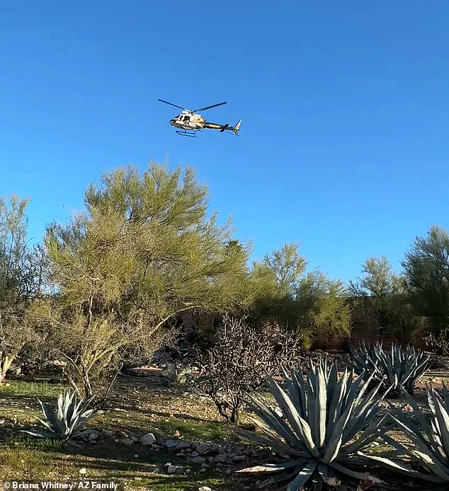 Missing in the Desert: Nancy Guthrie's Abduction Raises Questions of Coordinated Crime and Ransom Notes