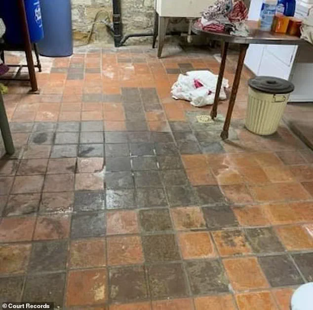 Pennsylvania Couple Files Lawsuit After Discovering Hidden Nazi Symbols in Dream Home's Flooring
