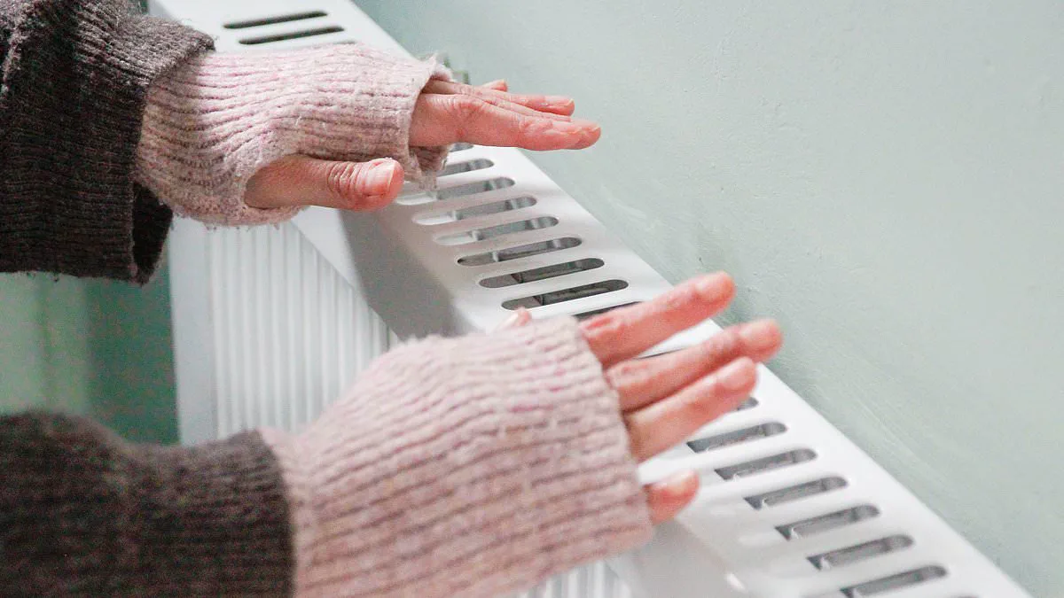 Cold Hands: More Than Just a Symptom—Understanding Circulation, Lifestyle, and Thyroid Issues