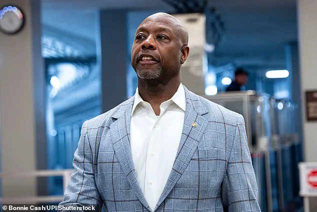 Controversial Video Depicting Obamas as Apes Reignites Racial Tensions, Trump's Role Draws Criticism