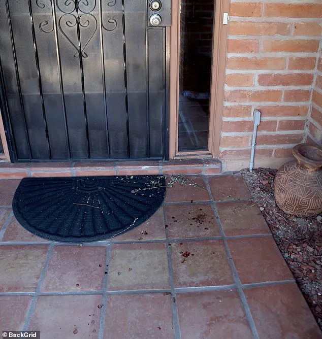 Sixth Day in Search for Nancy Guthrie: FBI Agent Points to Revenge Plot and Bitcoin Ransom Note