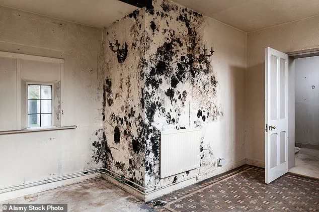 Study Reveals Long-Term Respiratory Risks from Childhood Exposure to Toxic Mould, Including 5% Lung Function Decline by Adolescence