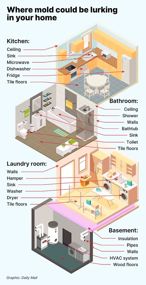Study Reveals Long-Term Respiratory Risks from Childhood Exposure to Toxic Mould, Including 5% Lung Function Decline by Adolescence
