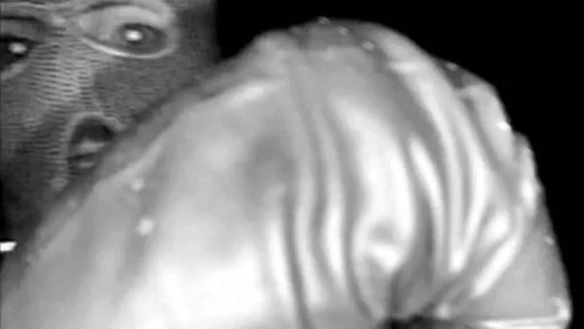 Black Glove Found Near Nancy Guthrie's Tucson Home Resembles FBI Suspect's in High-Profile Disappearance Case