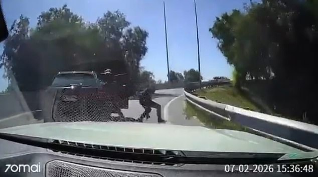 Chilean Highway Confrontation: Driver Collides with Armed Robber in Dramatic Encounter