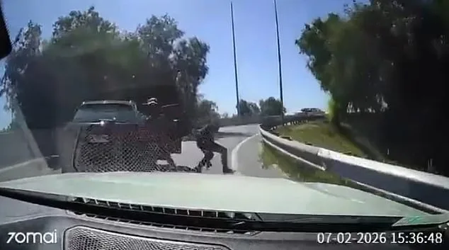 Chilean Highway Confrontation: Driver Collides with Armed Robber in Dramatic Encounter