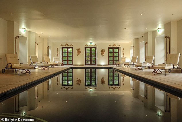 Dublin Murder Trial Exposes Shocking Mental Health History and Alleged Ritual Sacrifice Attempt by Accused