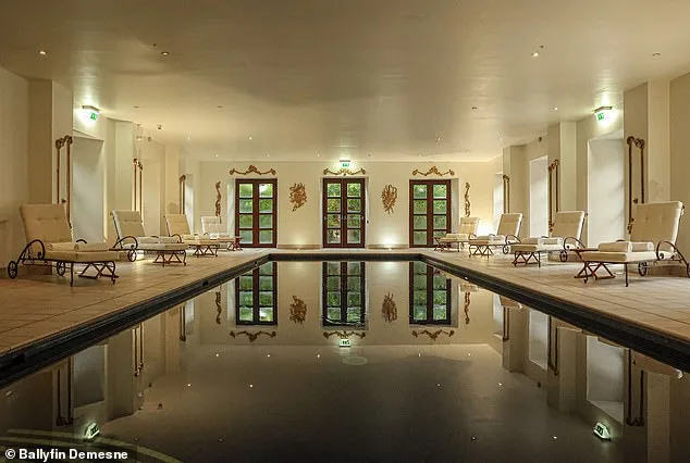 Dublin Murder Trial Exposes Shocking Mental Health History and Alleged Ritual Sacrifice Attempt by Accused