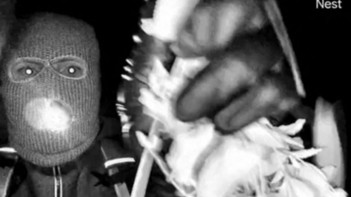 FBI Races Against Time to Locate Nancy Guthrie as Profilers Uncover Chilling Insights into Calculated Abduction