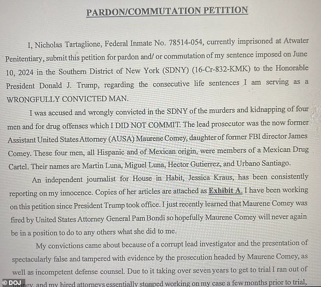 Jeffrey Epstein's Final Weeks at Metropolitan Detention Center: Accused Killer's Claims of Government Inaction and a 'Calculated Hit