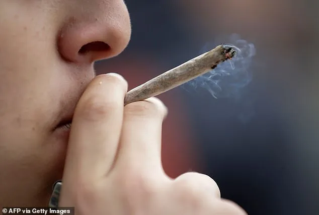 Moderate Cannabis Use Linked to Brain Health Benefits, Study Reveals: Excessive Use May Negate Effects