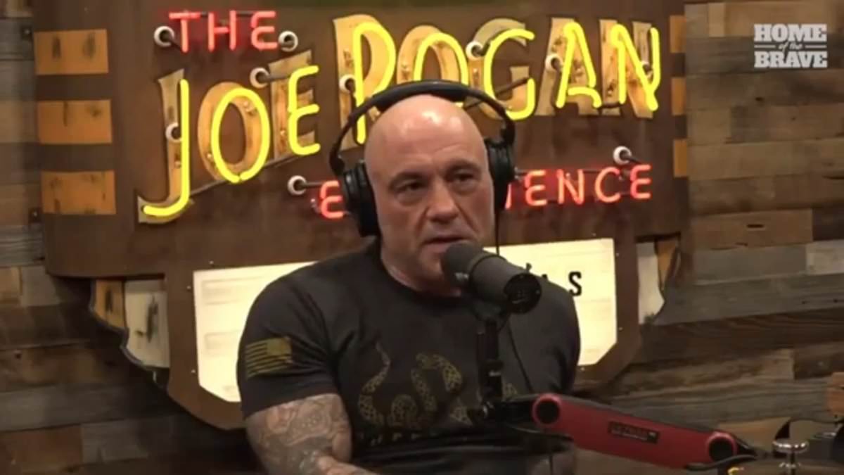 Joe Rogan's Epstein Files Ties Shed Light on Trump Era's Power Dynamics