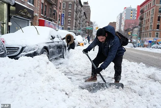 Melting Snow Reveals Fungal Allergy Risk