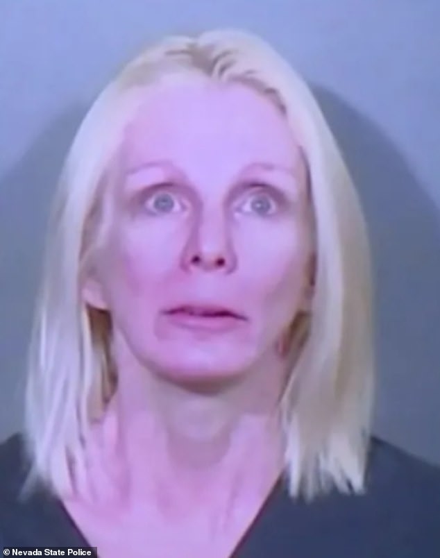 Nevada Traffic Stop Turns Violent as Woman Allegedly Brandishes Gun, Dog Lunges at Officer